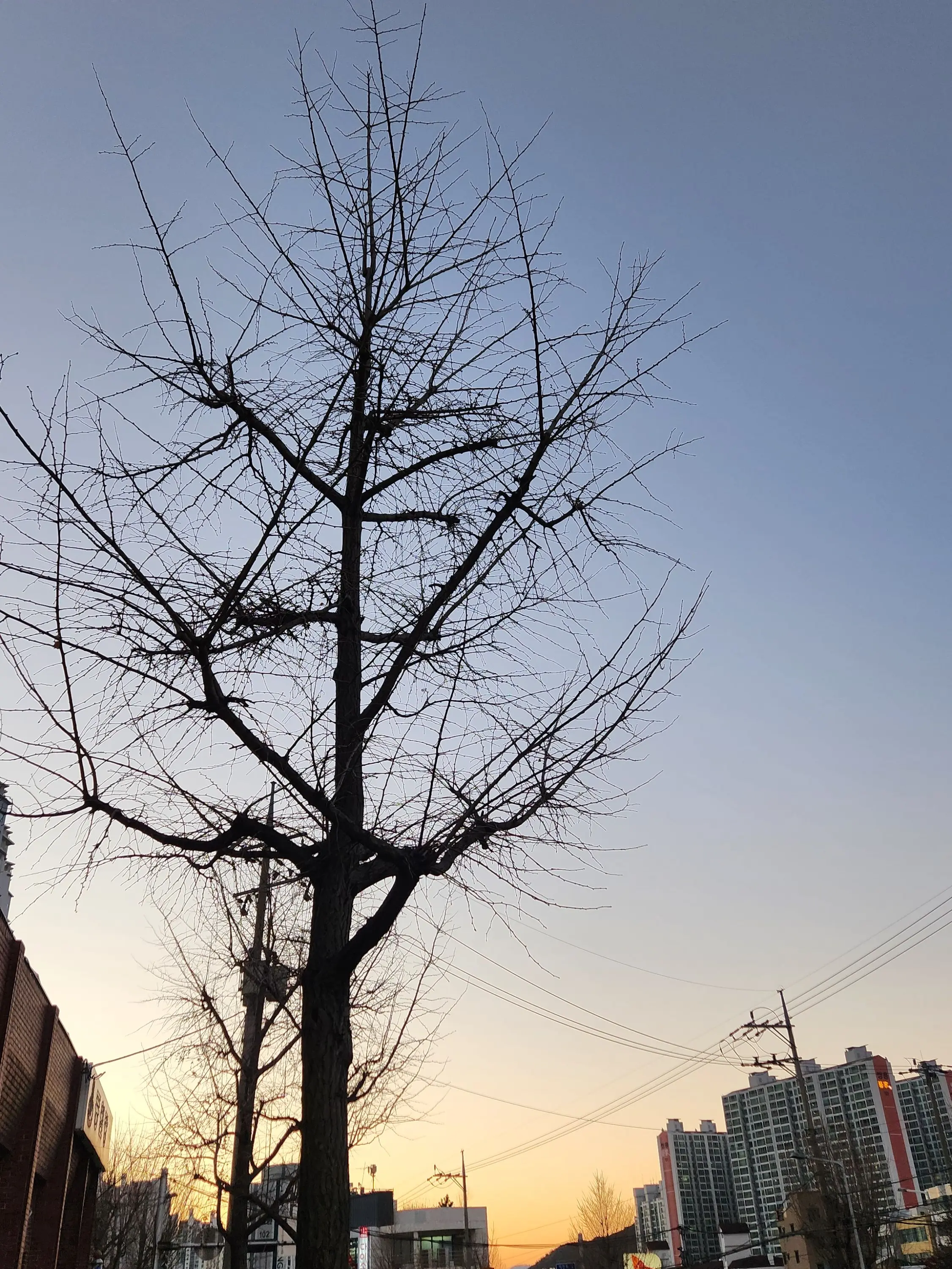 FancyWheel5784의 꿈의악마 밴드부+여우년