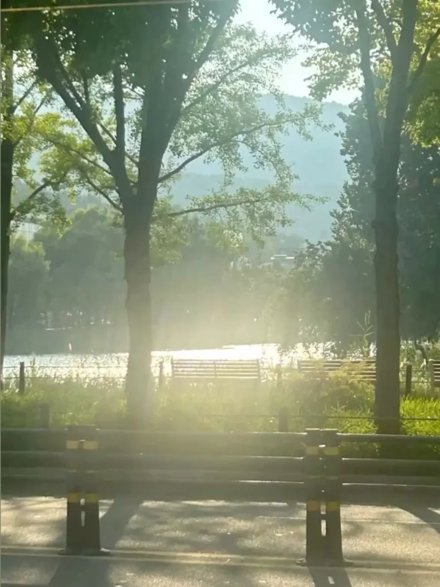 NuttyCoach4857의 청¿춘