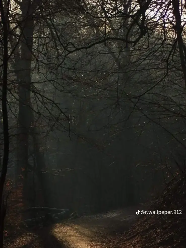 Hero_Shoto29의 빨간망토