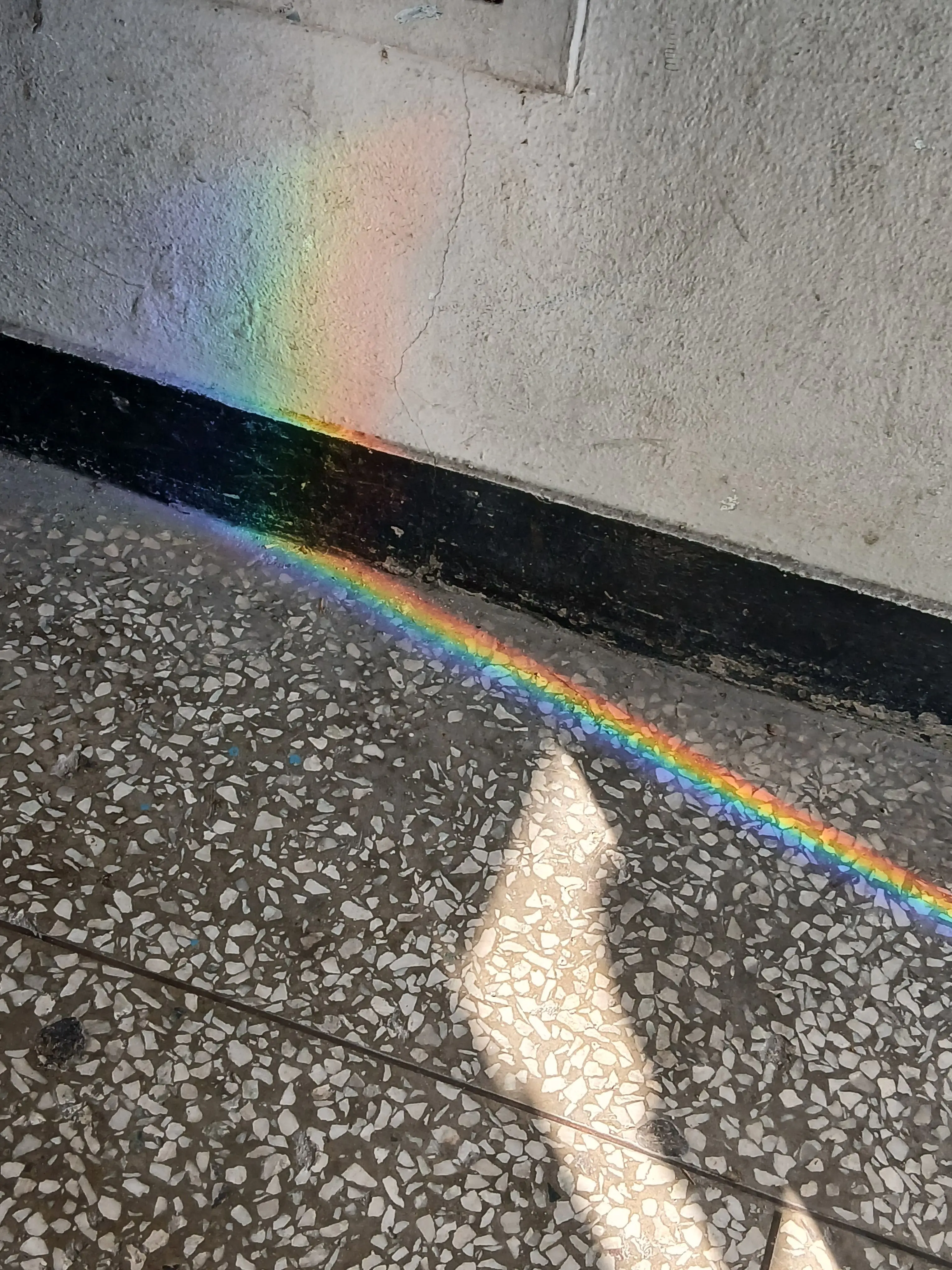 muvo76r의 사코팍 4인방