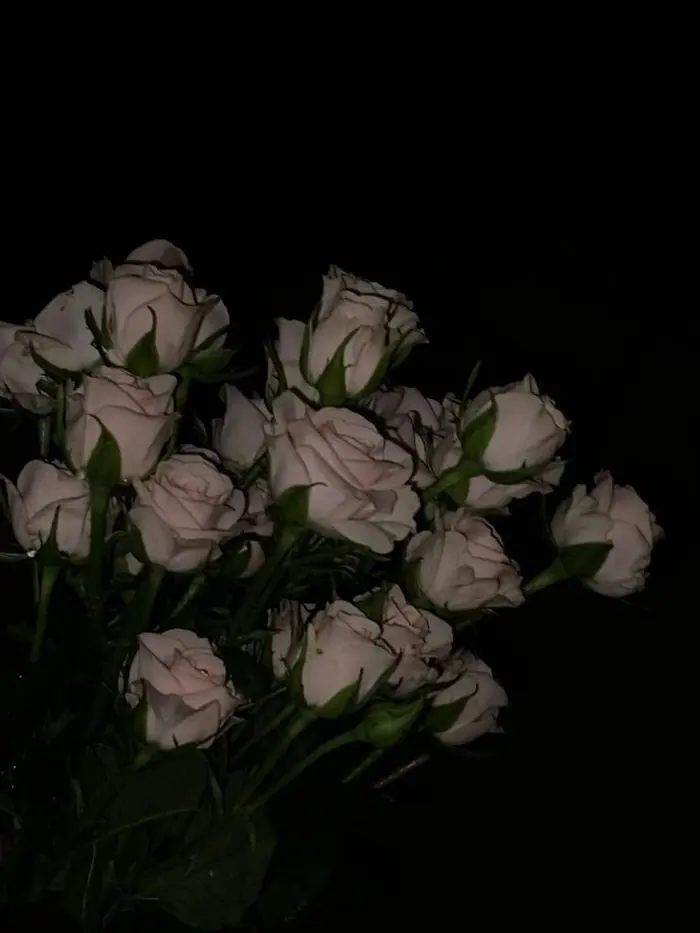 SaltyTruck7876의 鳴海 弦