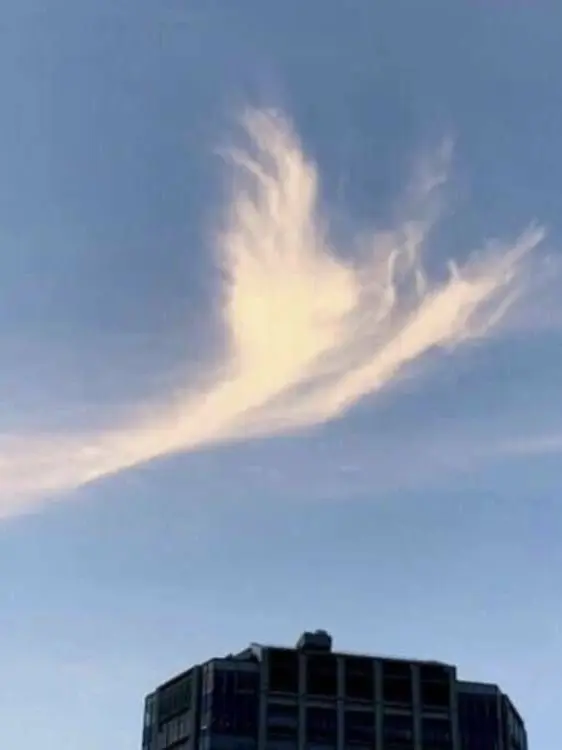 SanndonomesiyoriBL의 あなたはいじめられてる