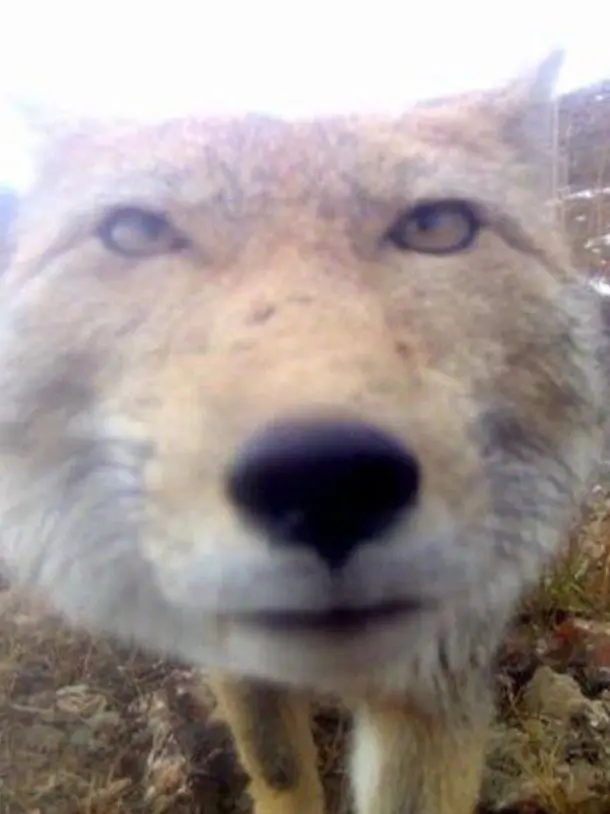 WoodenDam6815의 학교를 뿌시려는 {{user}}