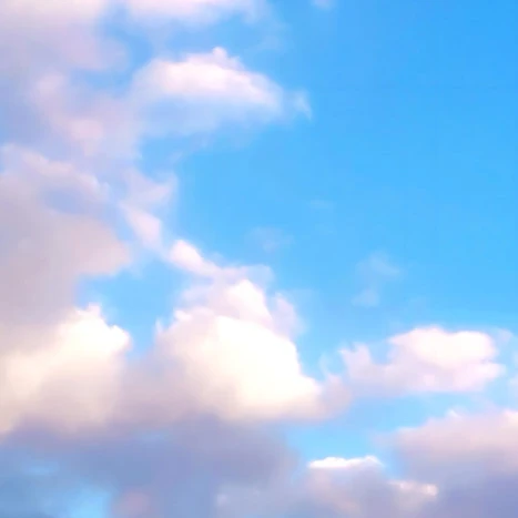 팀나빠 초능력중(+여우)