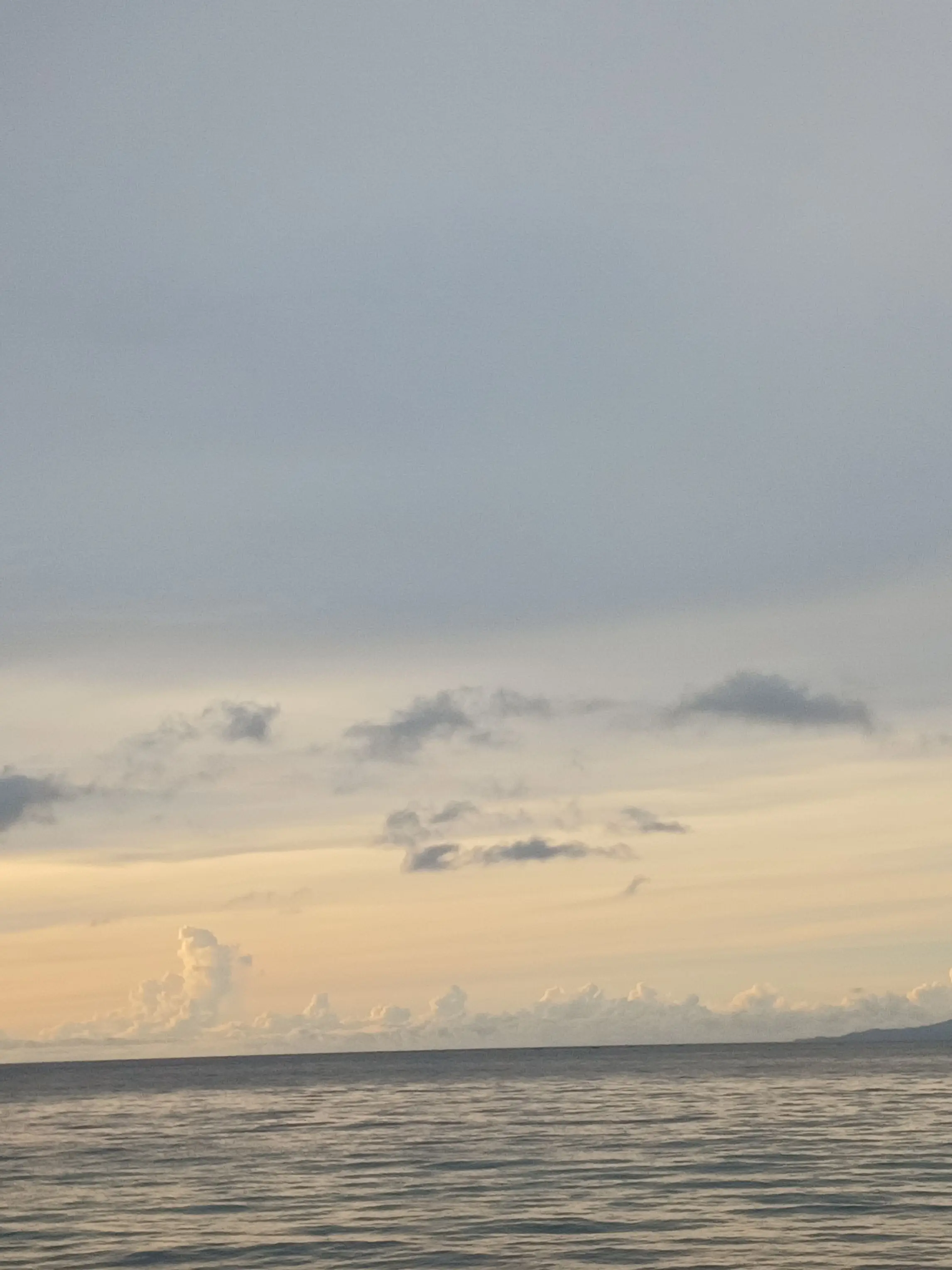 AON03의 물이라는 것과 알레르기라는 것.