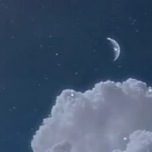 SilkyLemur3945의 6年生