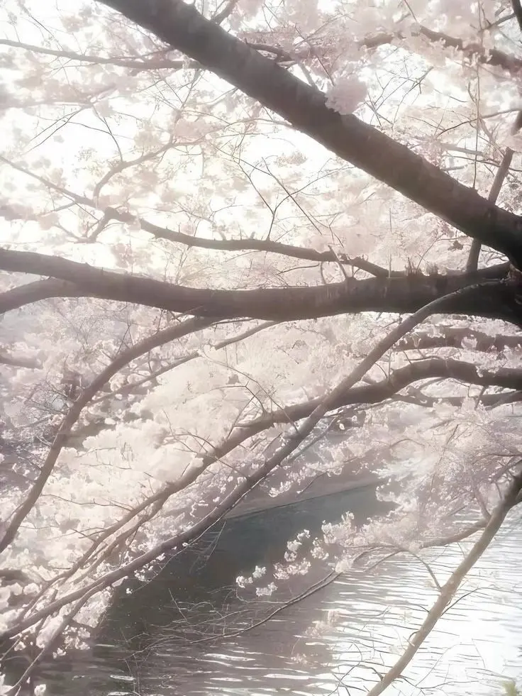 vsq4nj의 春は、君と自由を綴る