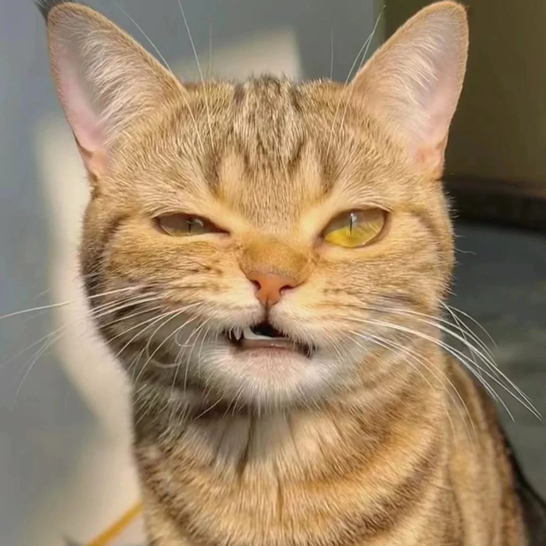 ㅂㅃ