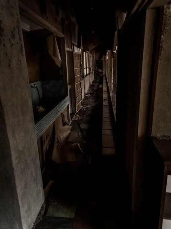 StrictLiger8461의 ―――