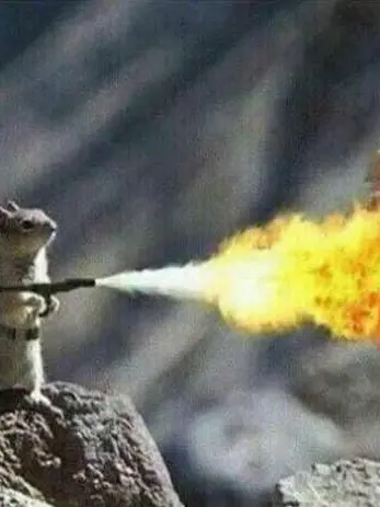 He_n의 다람쥐 시키들