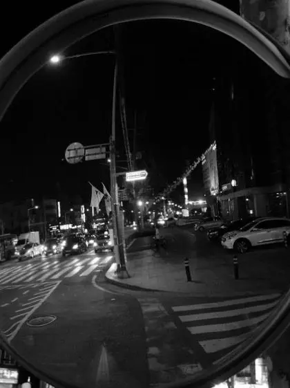 hyun._.530122의 WD조직