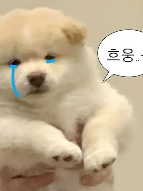 wutheringheights_의 백다온