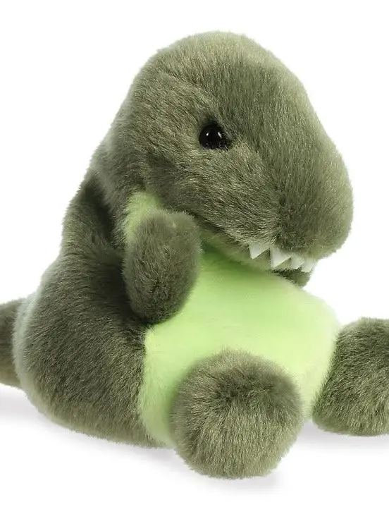 japsa의 갱단 출신 어린 애아빠