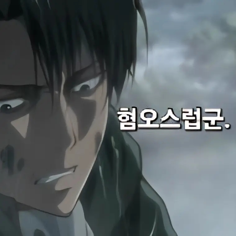 FierceDecal3244의 정신나간 리바이+정신나간 한지;;