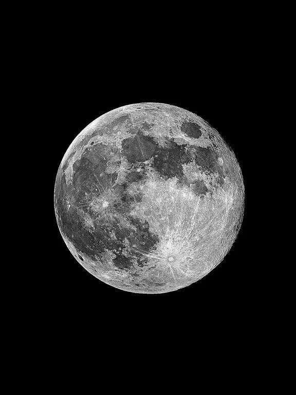 mat0_t0_58의 최상엽