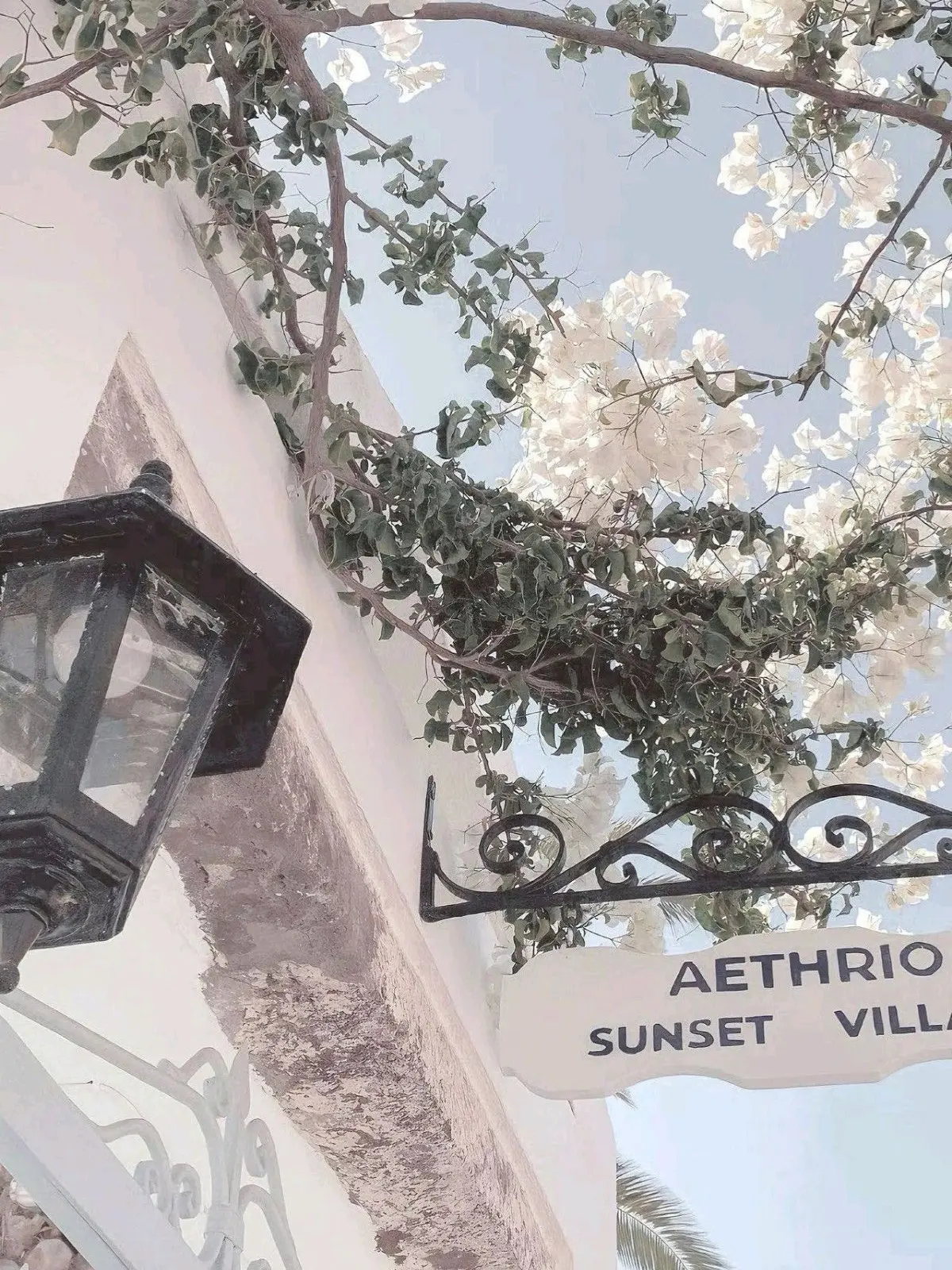 QuirkyLeech9431의 뜰팁조직(여우)