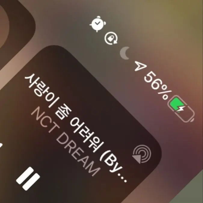 SureKudu9338의 남녀무리