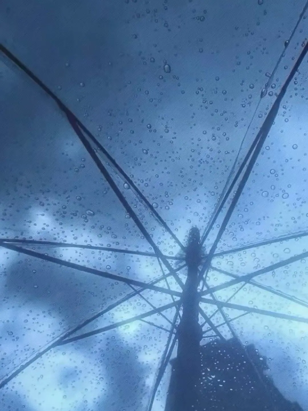 amachan의 箱庭の子供達