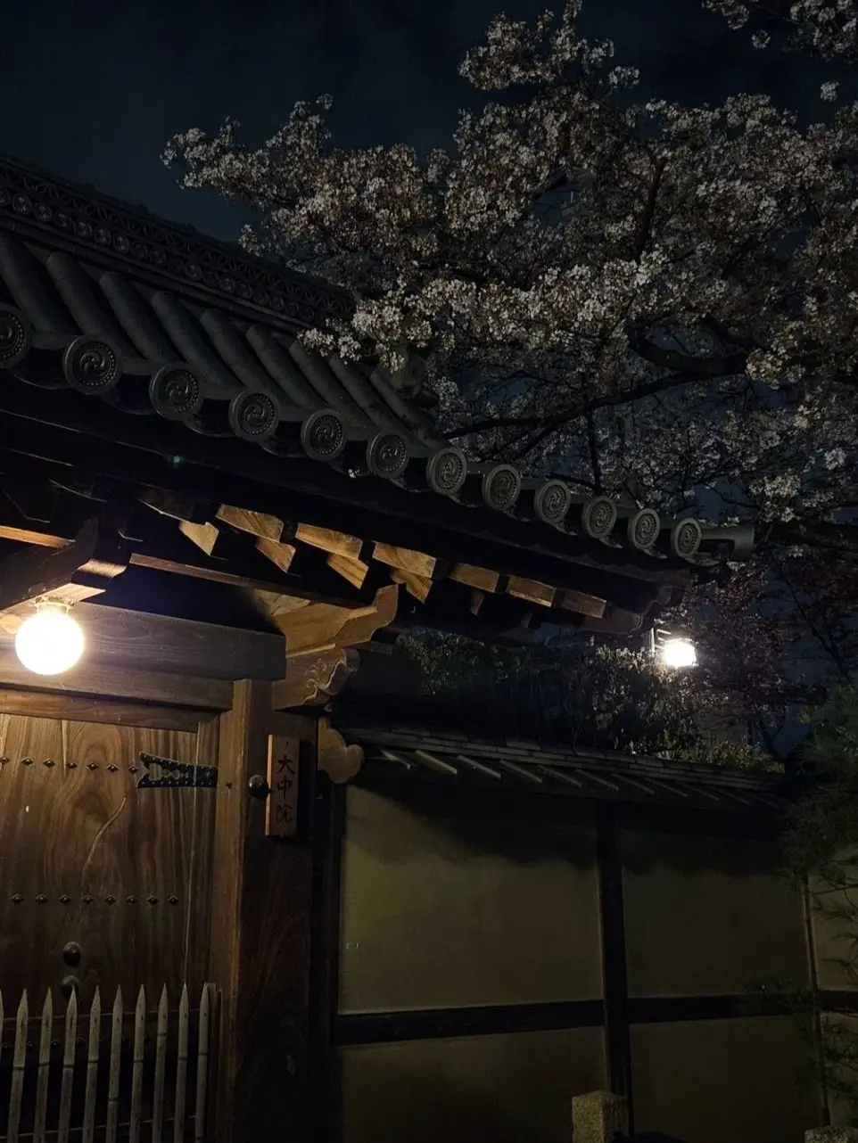 Arya111111의 禪院家if