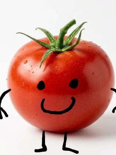 xhakxh9255의 Living with Tomato