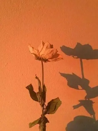 Blanked.love의 1214