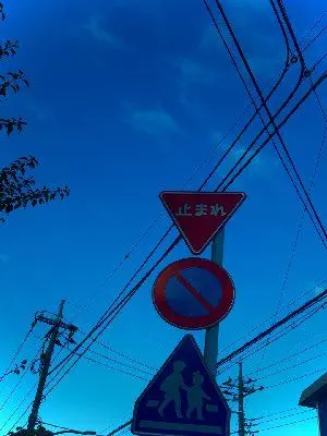 kyomu566의 Those Siblings Are Always Bickering...!?