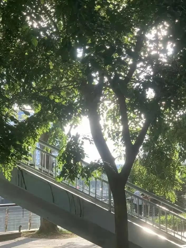 Tiiis2u의 서지유 [gl]