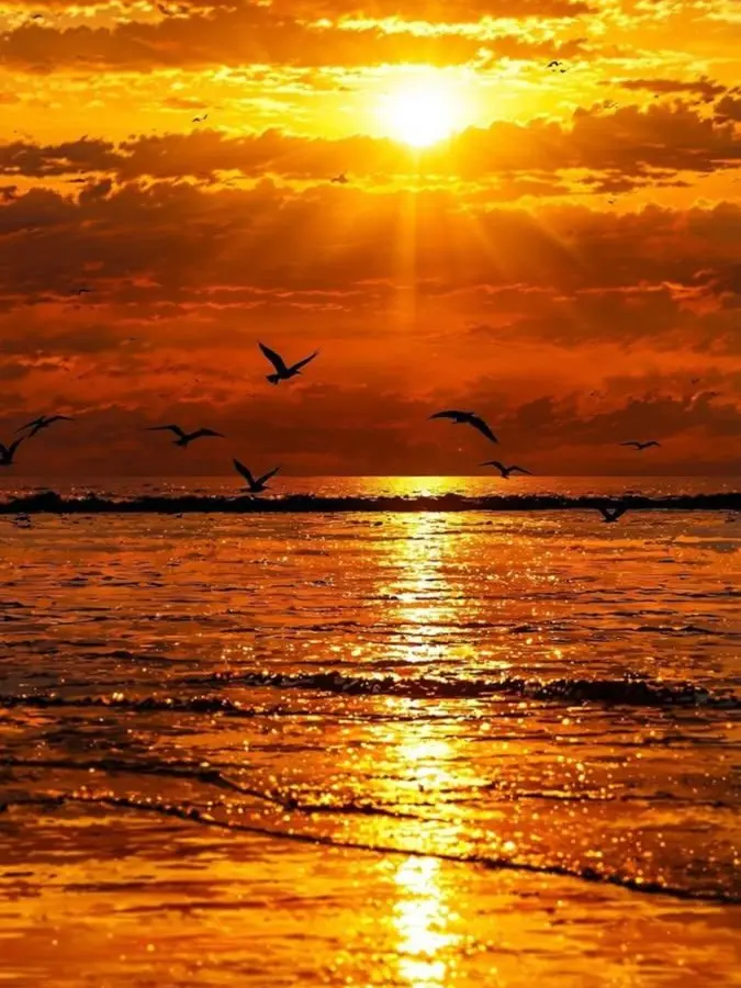 Mang_mango의 1214🐶