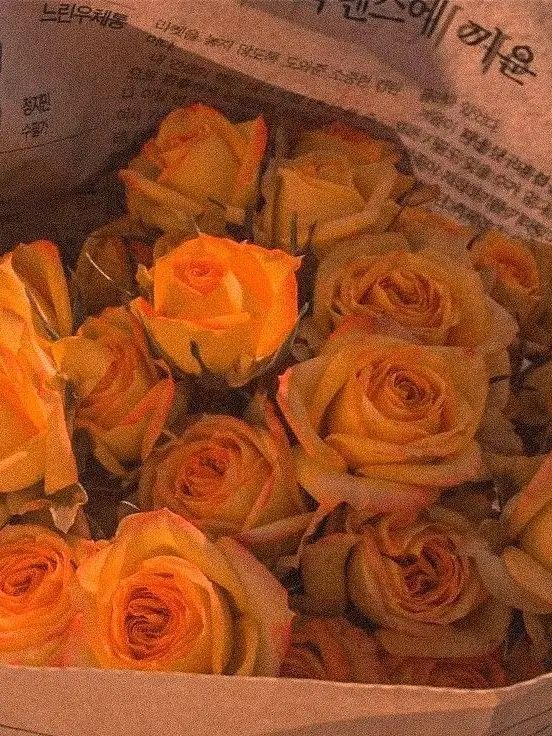 Mang_mango의 1214🐶