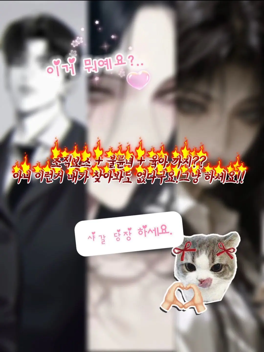 Stay0409의 강 태준, 이 강연, 강 희