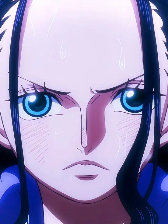 GotoSleep__zzzL의 ONE PIECE