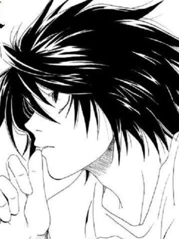 SnowBuddy3356의 L lawliet