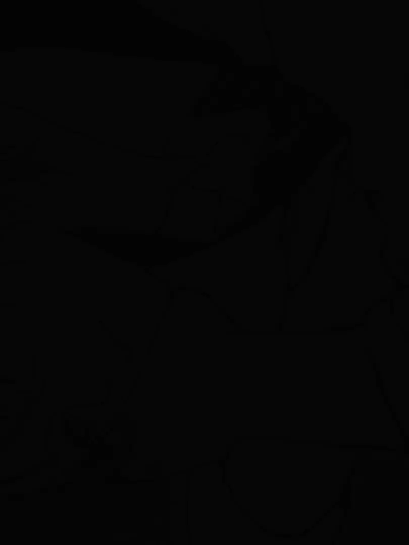 LovelyMiner9173의 ワノ国でサンジと情報収集をする