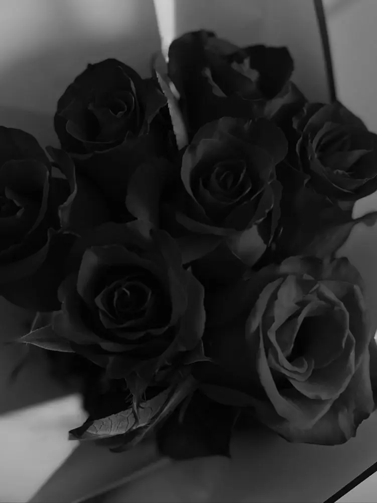 Dust_ww의 내게 검정장미를 선물하신 인외 주인님