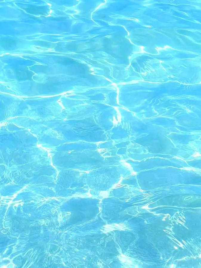 OralGate7870의 픽셀리+여우