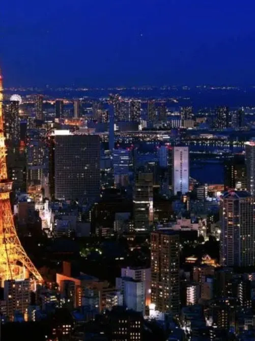 sakatasam_의 Tokyo Highway Drivin