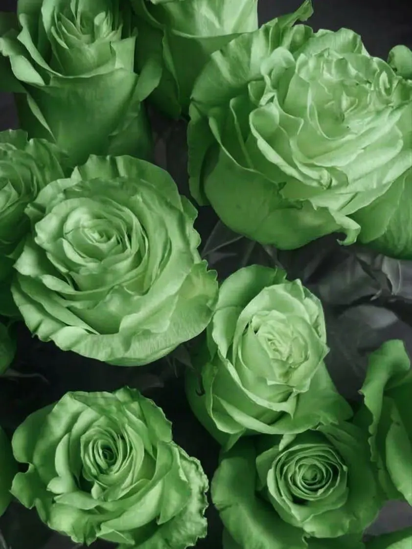 red_h_r_t의 💚