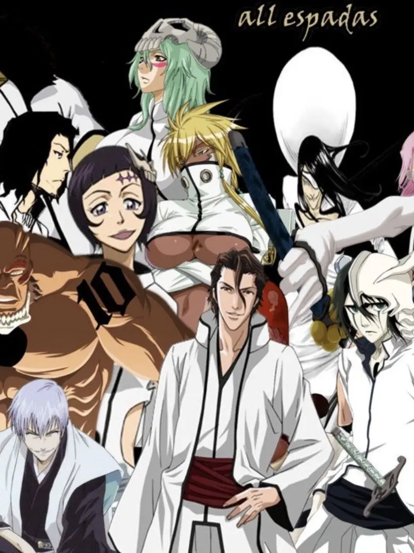 Xoxoluv_pure17의 Fake Karakura Town Arc