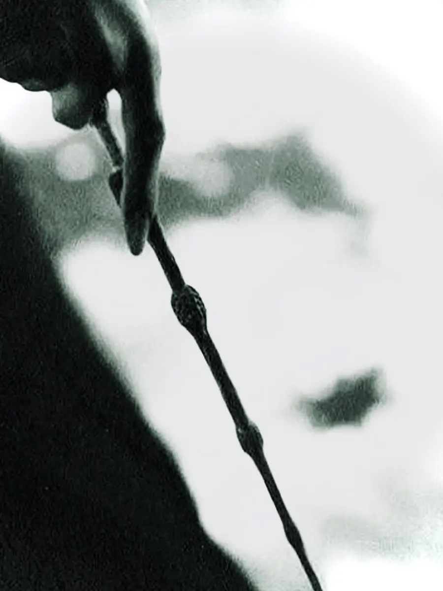 I.hav_e_no.n0se의 ‘You know who‘