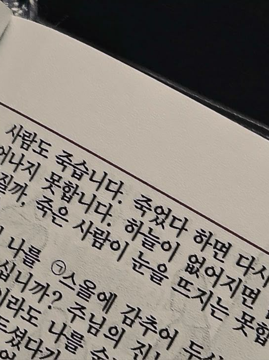 천사의 날개는 비싼 값어치로 팔린다 대표 이미지