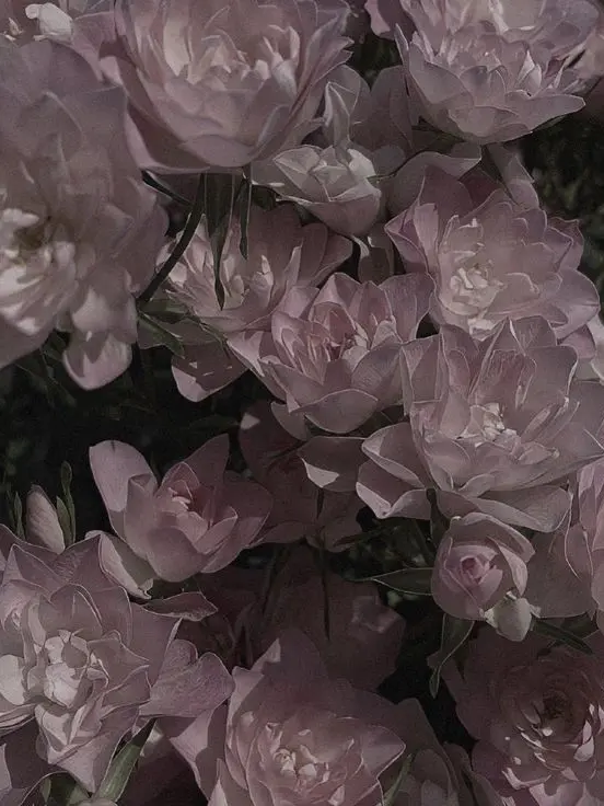 meu_o0의 死んだと思ったアイツが帰ってきた