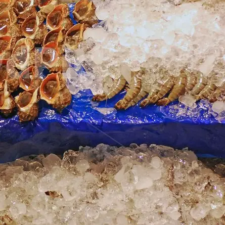 luckyhackerpizzaYAOI의 회 쳐먹을 고등어가 와 이리 생깄노?