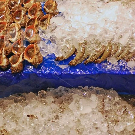 회 쳐먹을 고등어가 와 이리 생깄노?