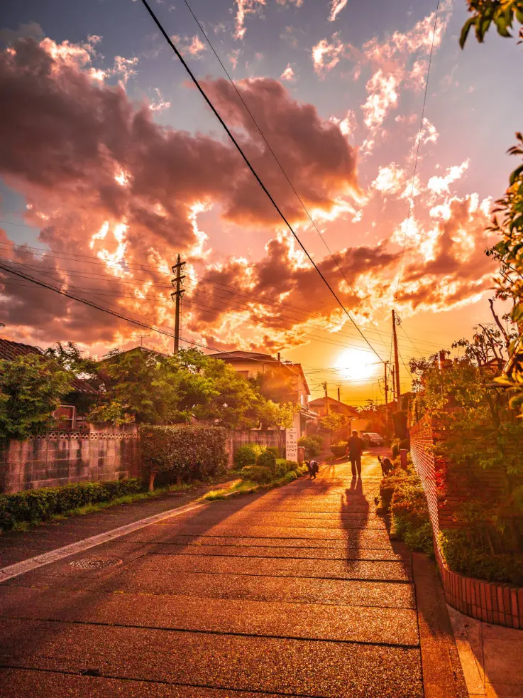 karashi10233의 仕事潰れで惨敗だ。