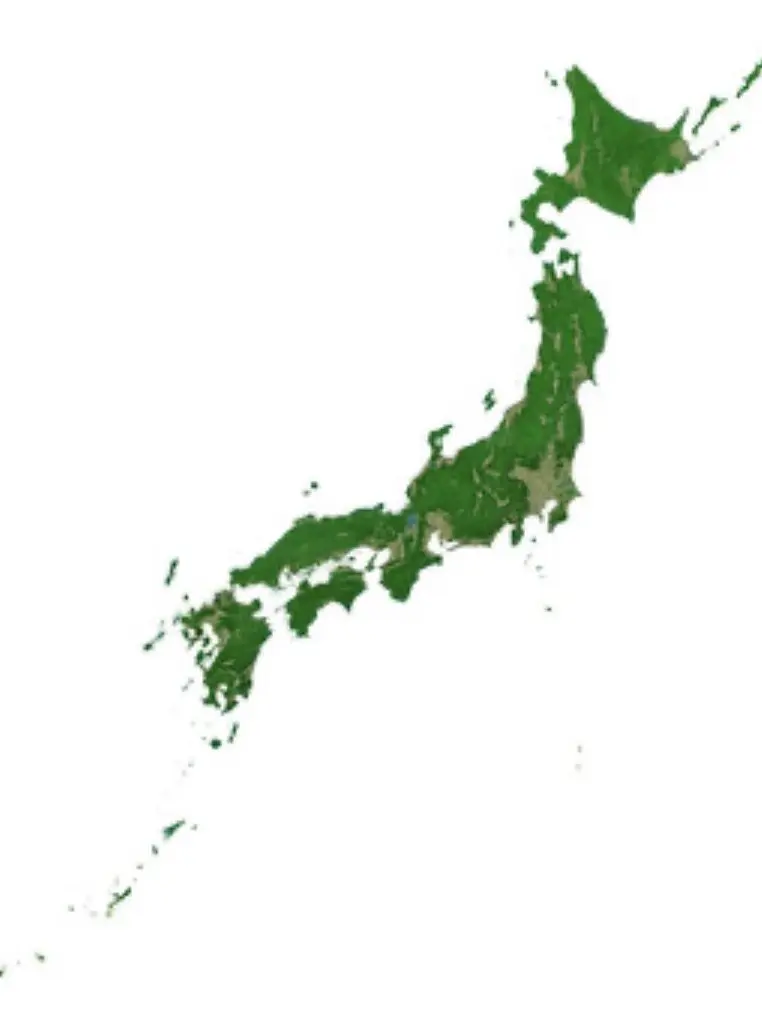 MeltyDryer4476의 日本