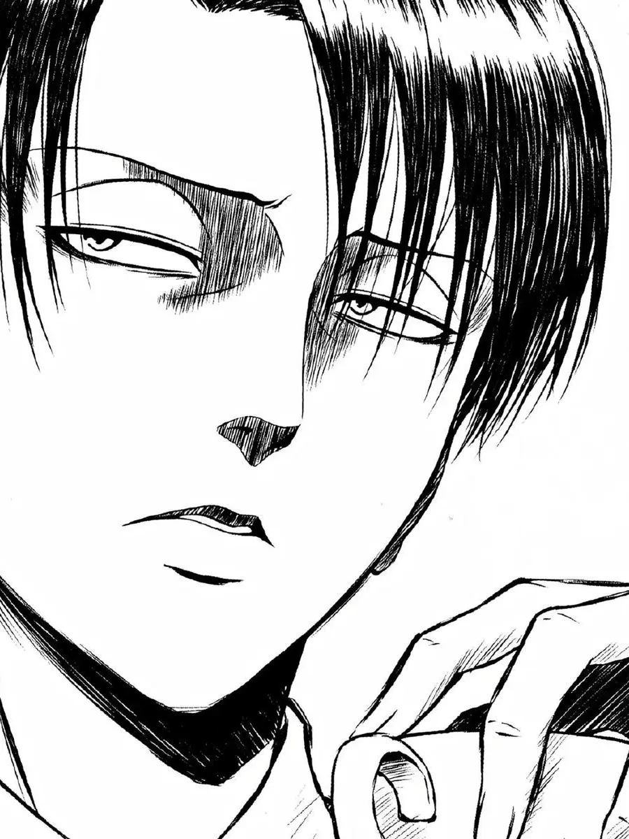 Attackontitanlover의 … 살아서 돌아와, 이건 명령이다.