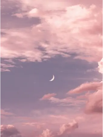 NEO_NEKO의 기면증 막내와 8명의 오빠들