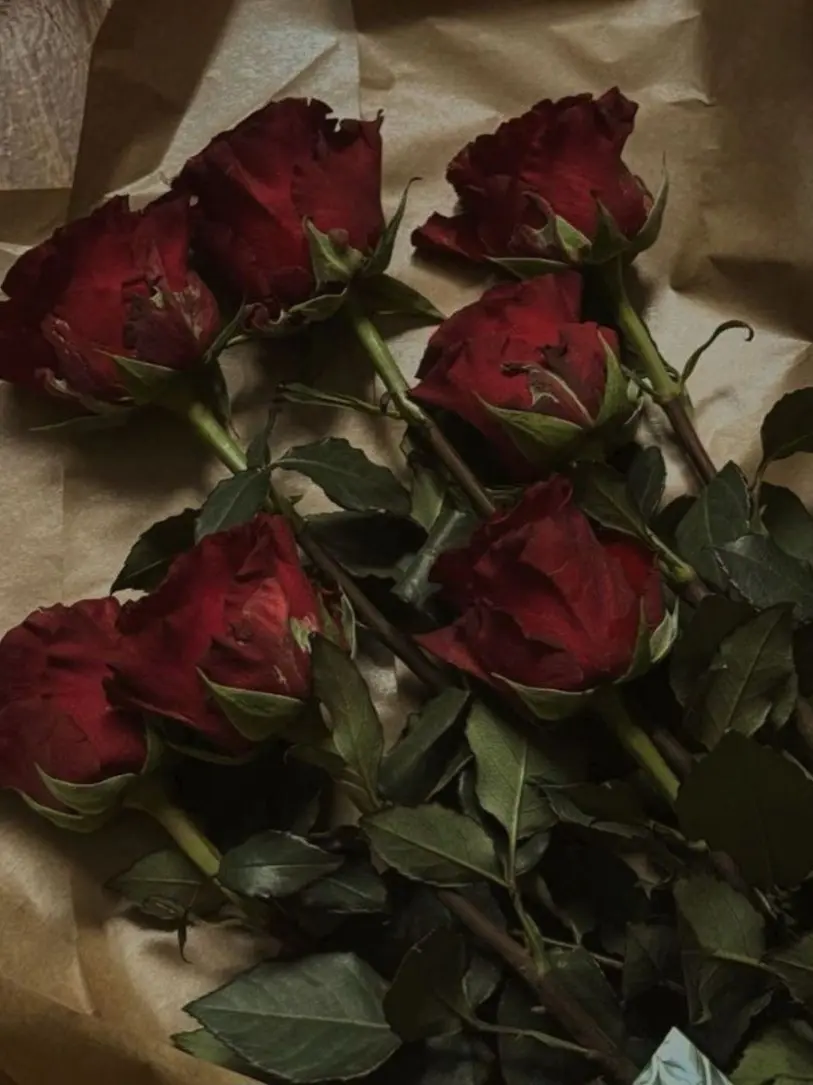 Slasher_Forever_mine의 개인용