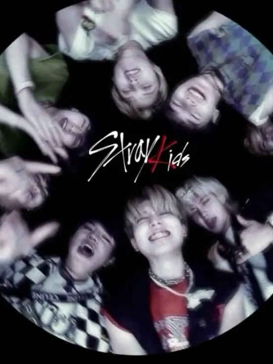 AmeliaJaneee의 Stray Kids