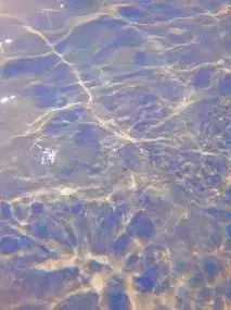 CafeLate의 파크모